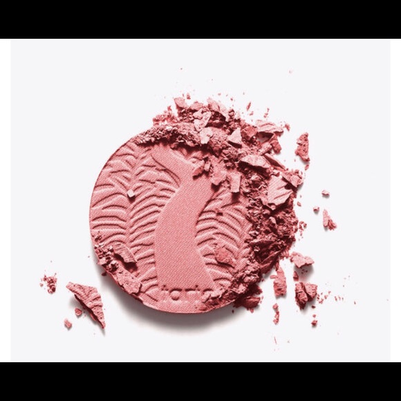 NIB Tarte Amazonian Clay 12-hour Blush in Paaarty - Picture 2 of 7